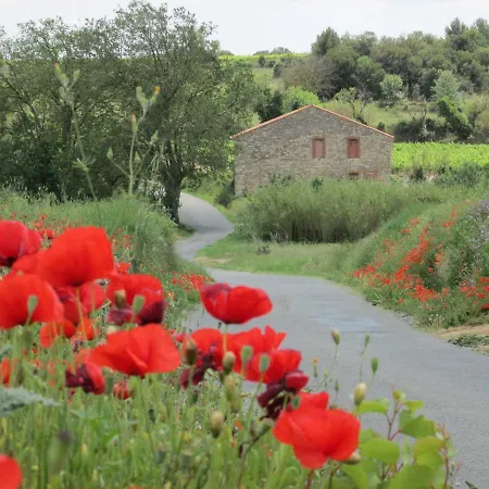 D'hotes Maison Splendide
